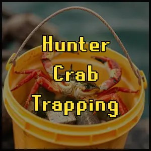 Easy setup AHK Skilling Bots for OSRS